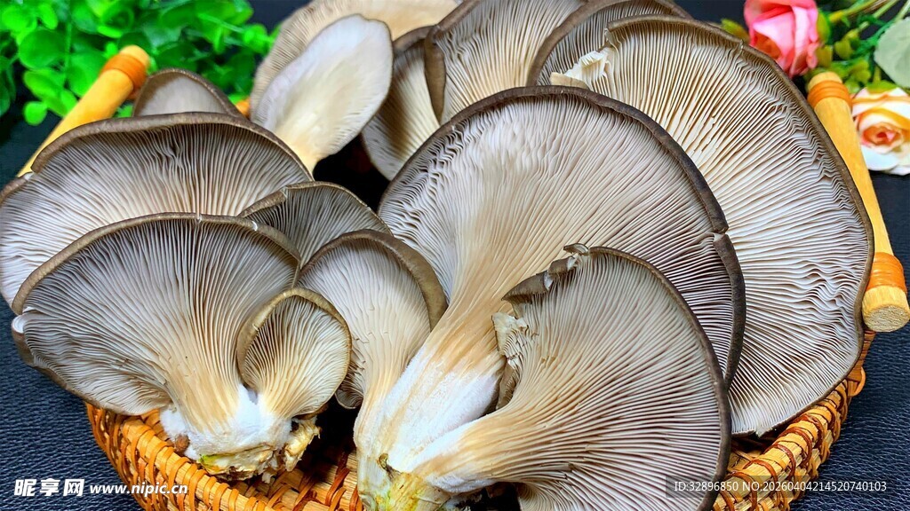 新鲜平菇置于竹篮中