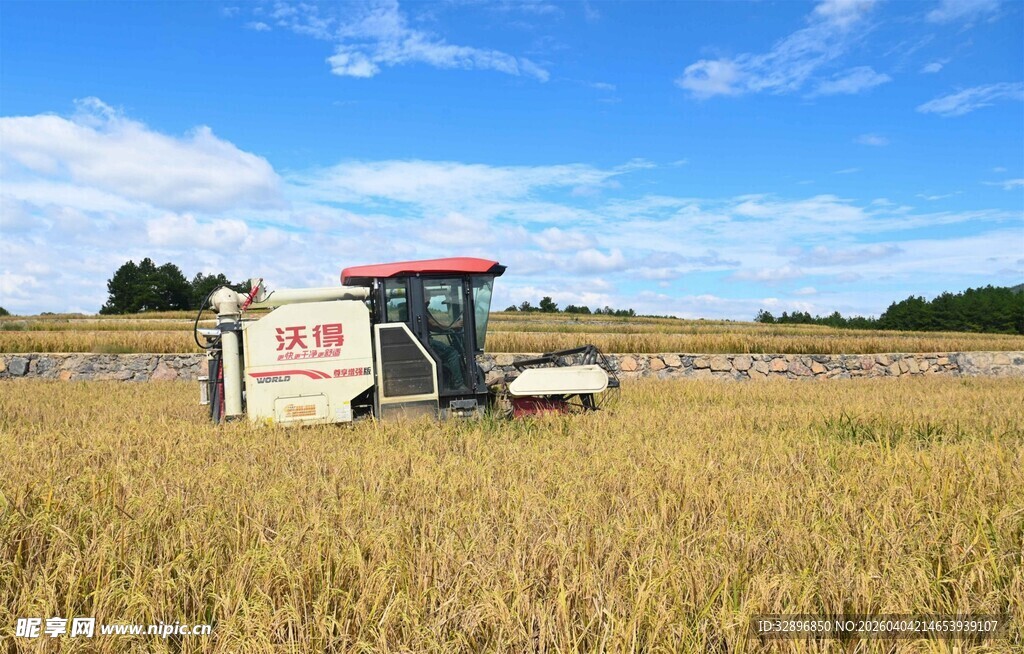 田野中的红色收割机