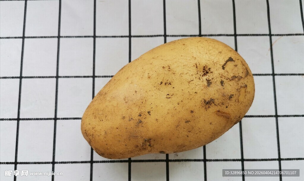 新鲜土豆特写