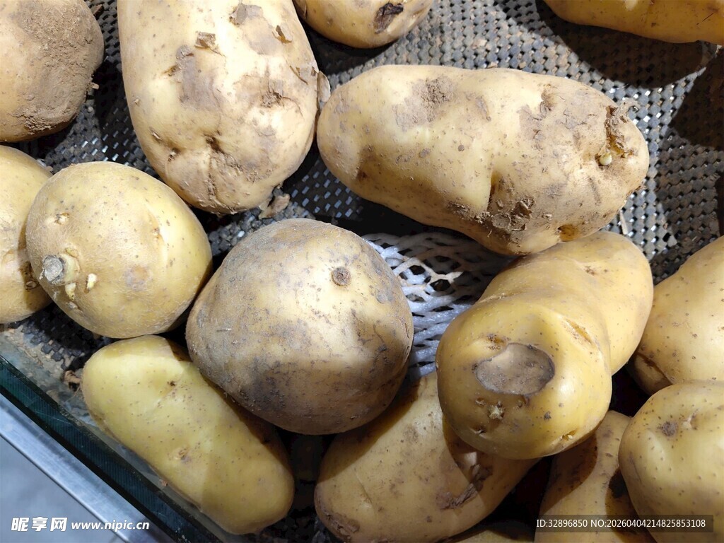 新鲜土豆堆放在筛网上