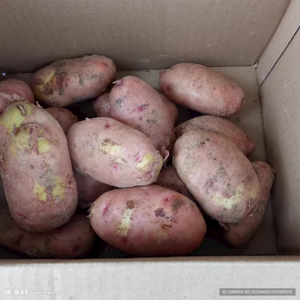 纸箱中的新鲜红薯