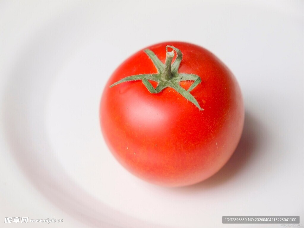 白色盘上的鲜红番茄