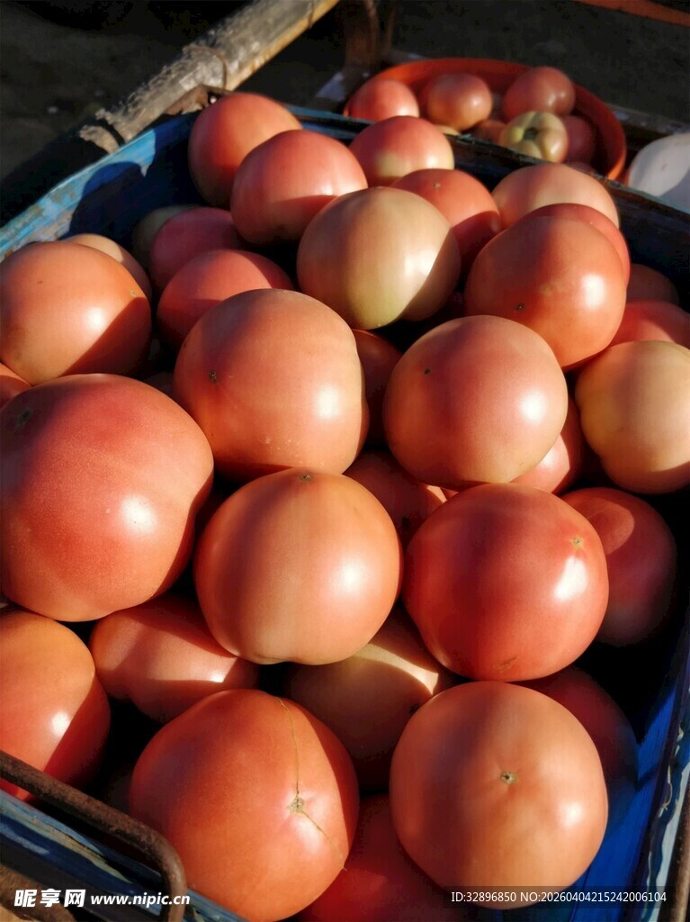 新鲜红番茄堆放在一起