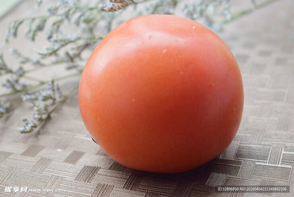 圆润橙红柿子清新背景