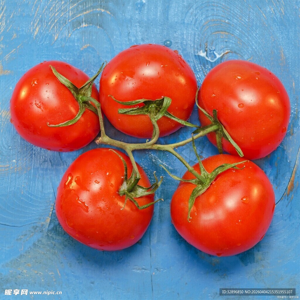 蓝色背景上的新鲜红番茄