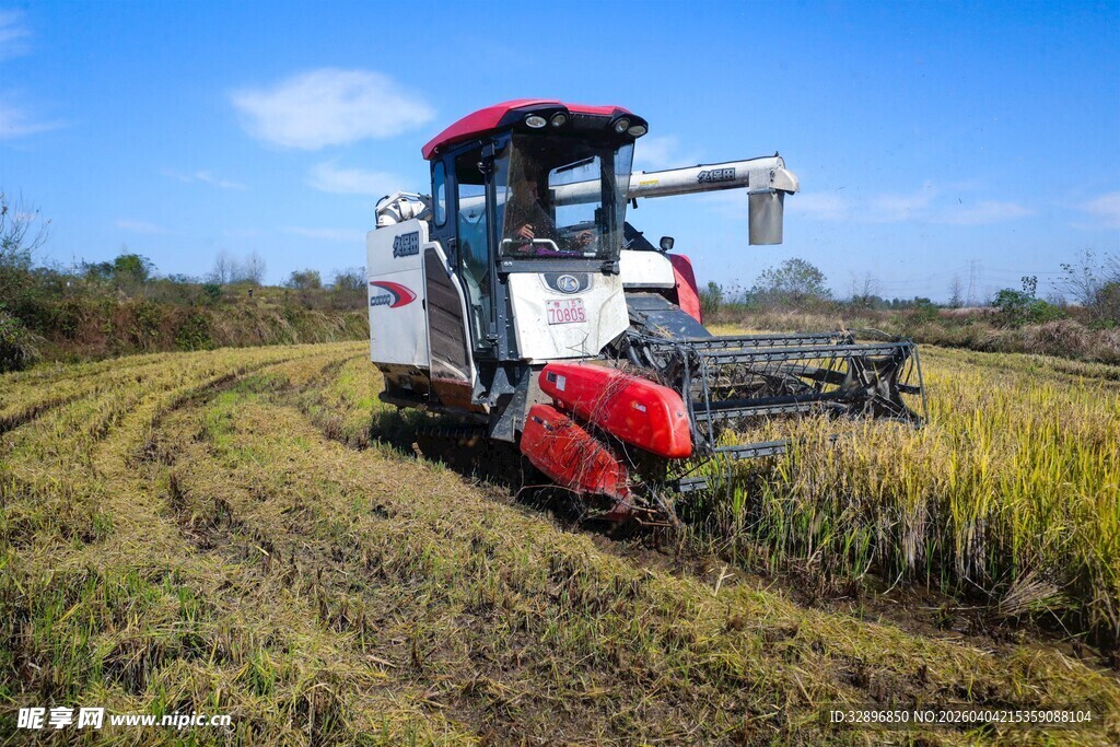 农田中的红色联合收割机
