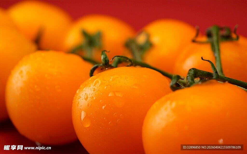 新鲜黄番茄饱满色泽诱人