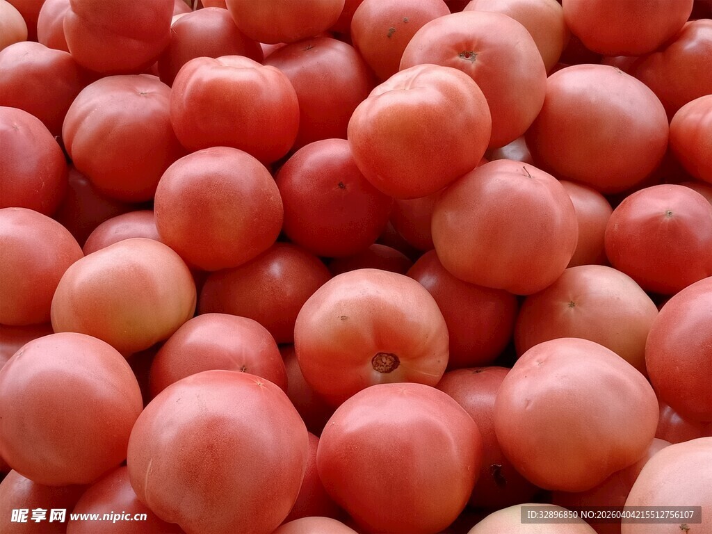 新鲜饱满的番茄堆