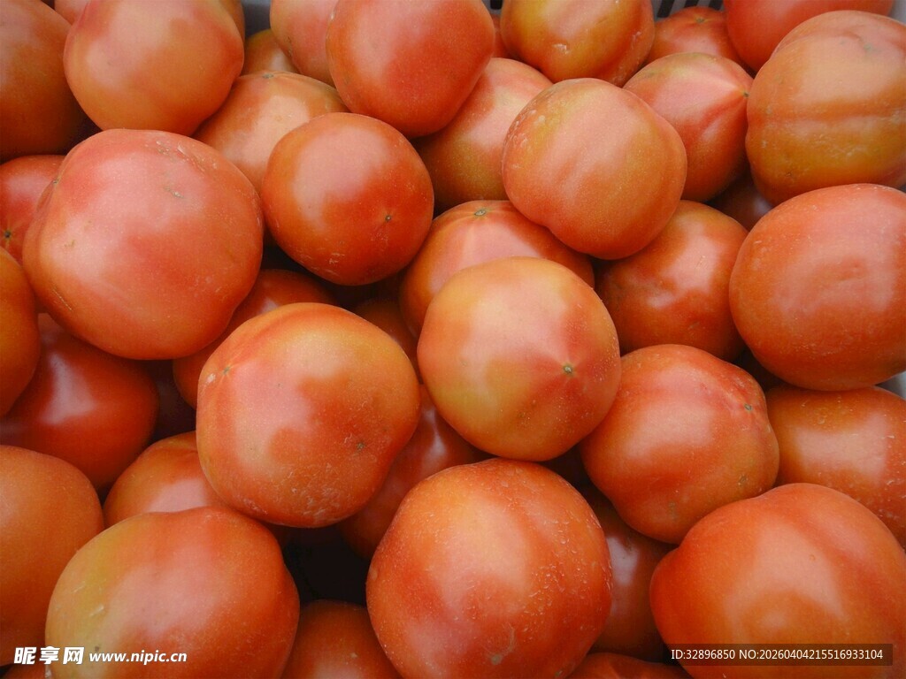 新鲜饱满的成熟西红柿