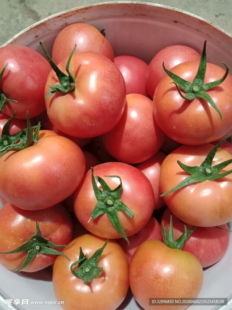 新鲜饱满的西红柿