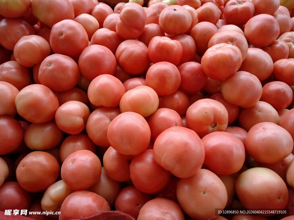 一堆饱满的红色番茄