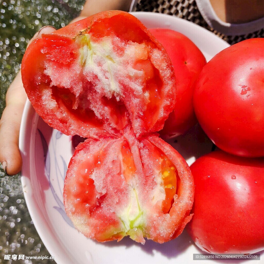 新鲜多汁的切开红番茄