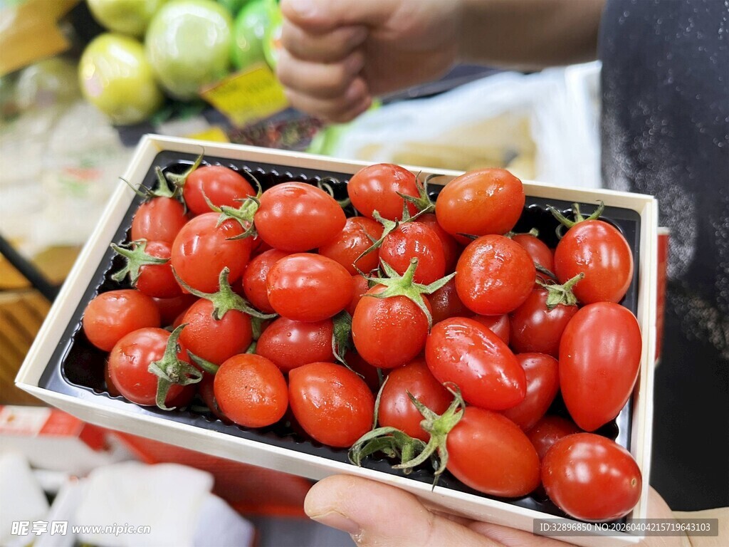 新鲜小番茄待售