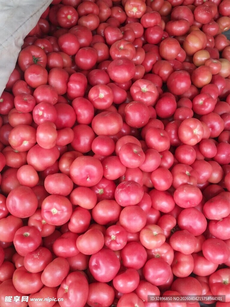 一堆新鲜的红色果实