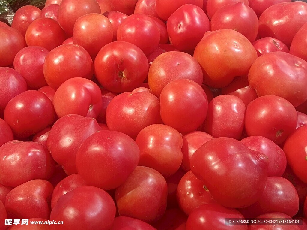 一堆新鲜红番茄