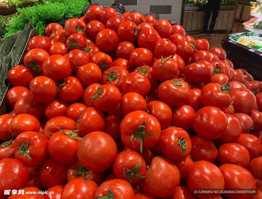 大量新鲜西红柿堆成小山