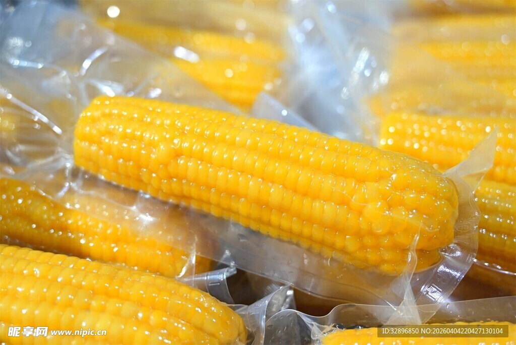 真空包装的新鲜甜玉米