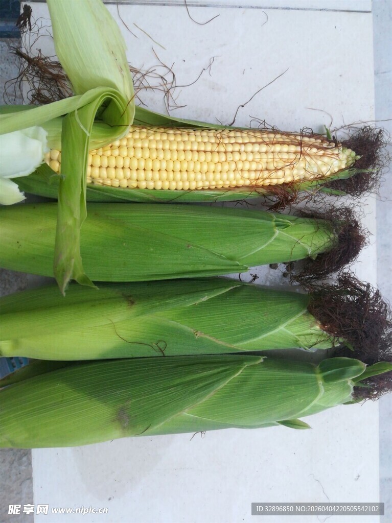 新鲜玉米棒