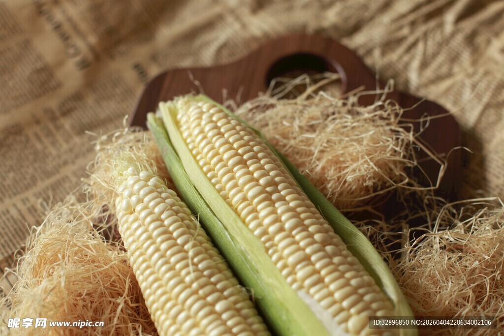 新鲜玉米与秸秆的自然组合
