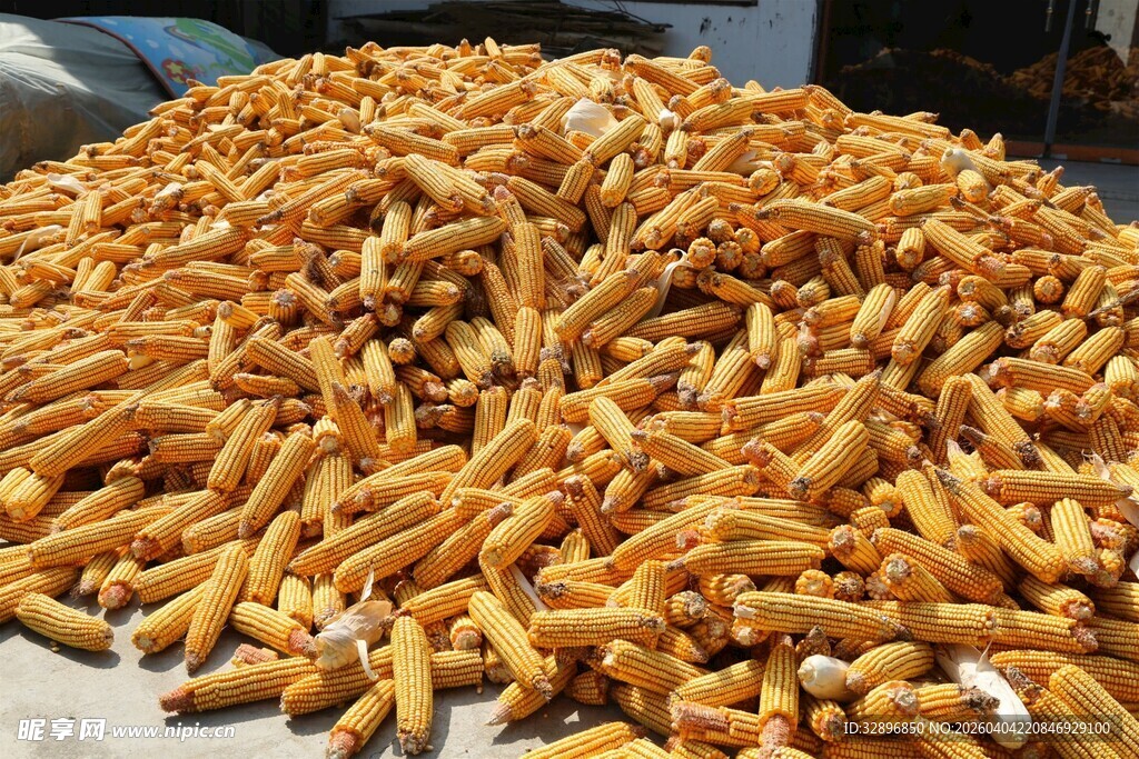 大量美味薯条堆成小山