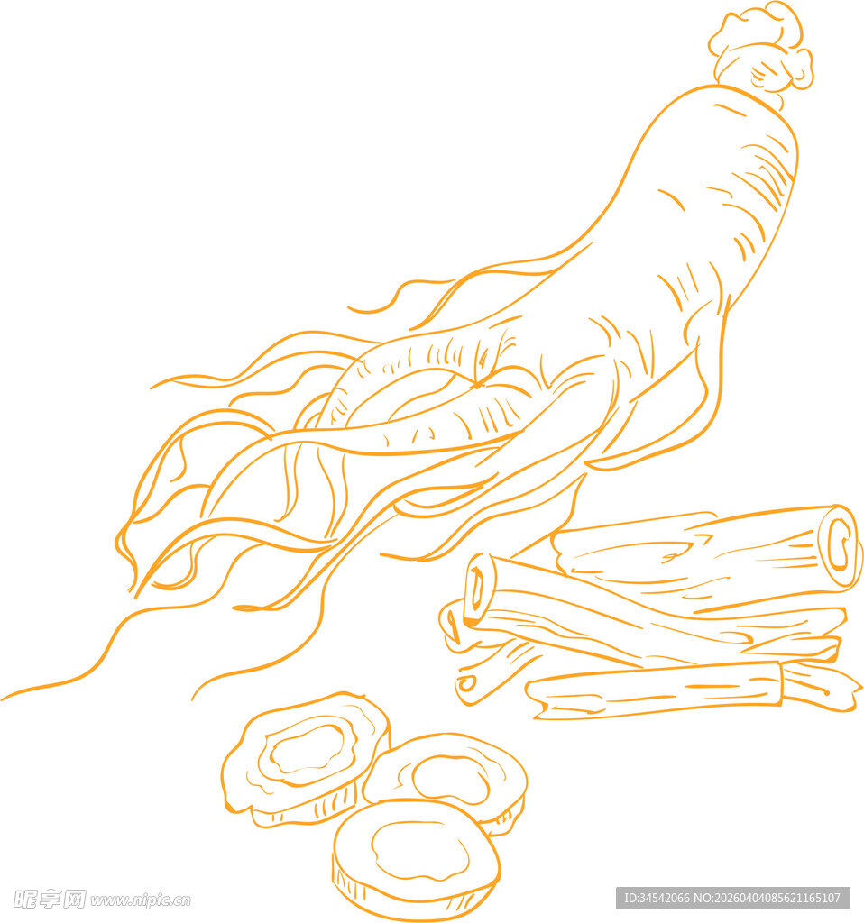 手绘人参与药材