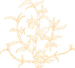 金色铁皮石斛图案