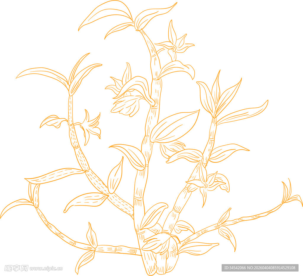 金色铁皮石斛图案
