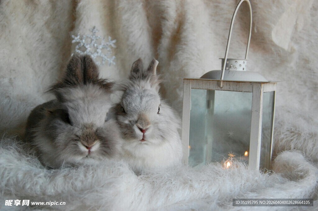 依偎的萌兔与温馨小灯