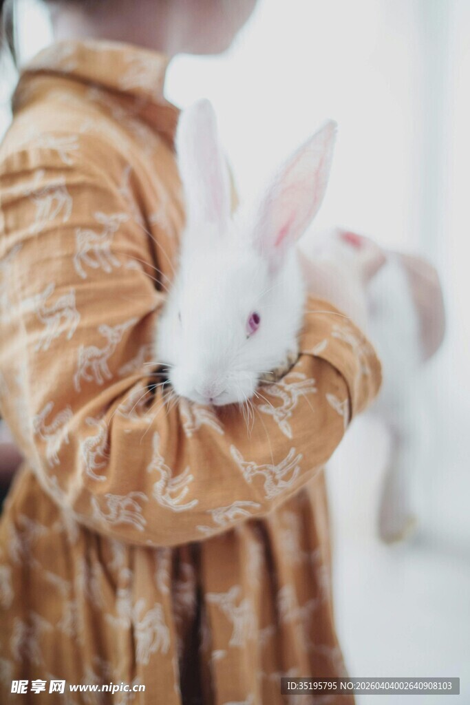 女孩怀抱可爱白兔