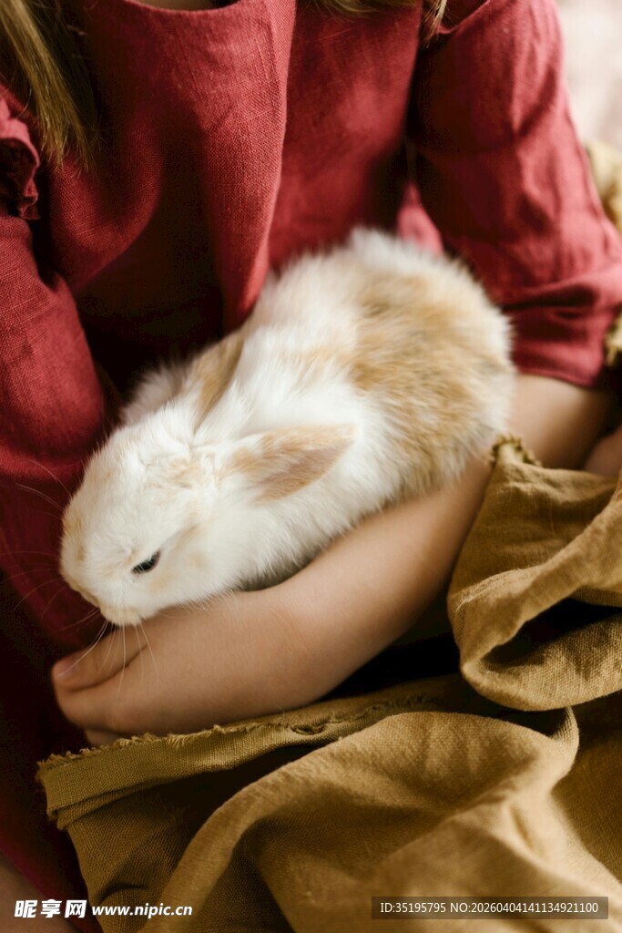 怀中白兔温馨瞬间