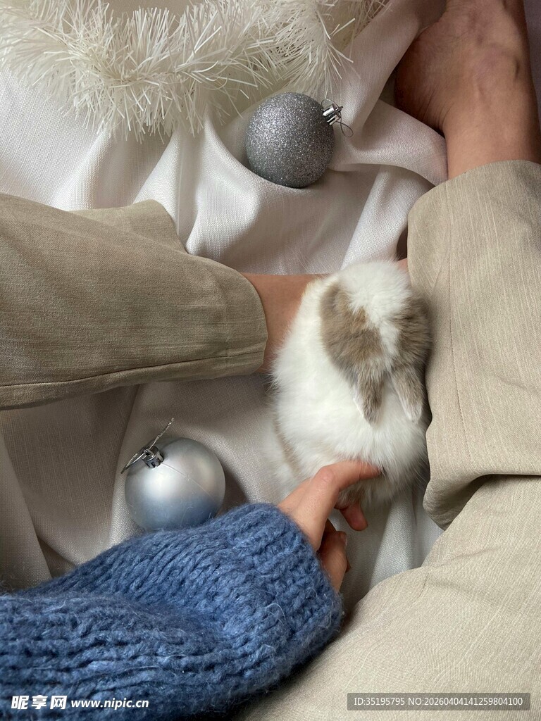 人与萌兔温馨互动瞬间