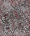 豹纹图案纹理
