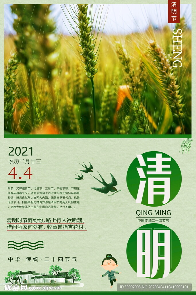 清明时节麦田景象