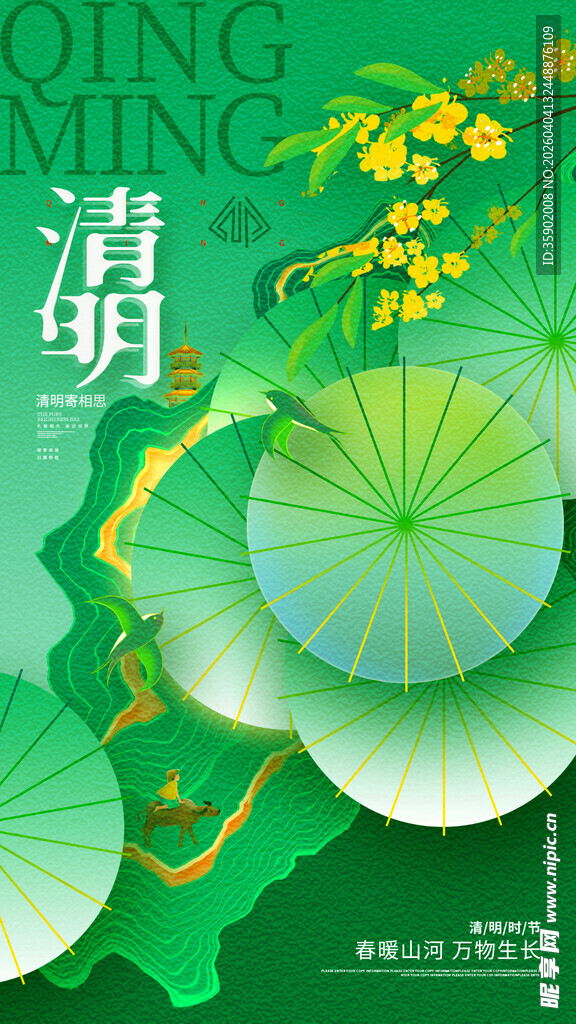 春日萌动的清新荷叶花卉