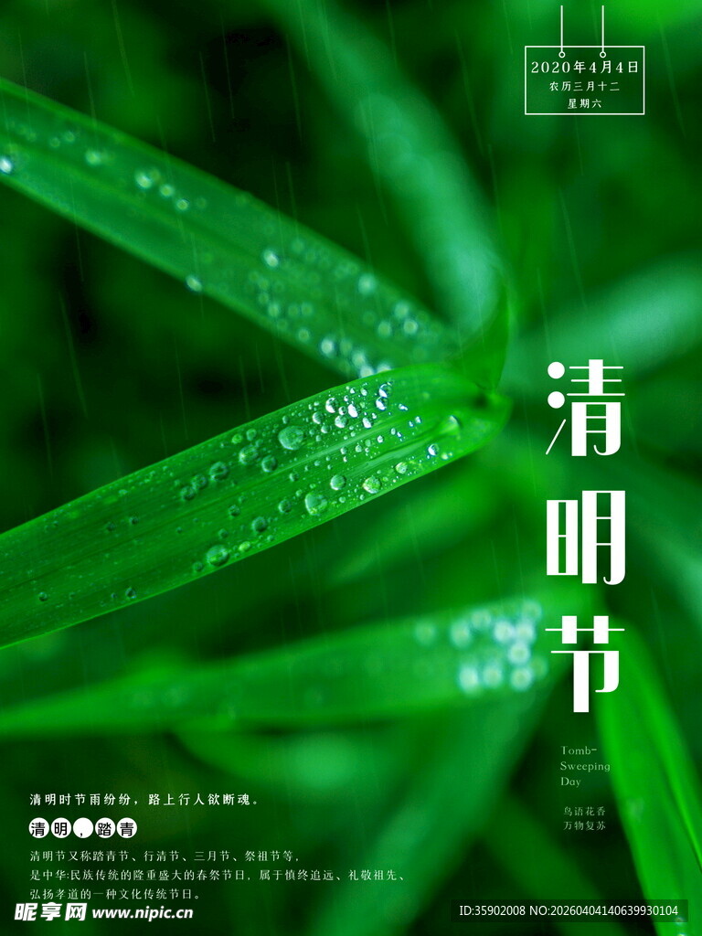 清明时节嫩绿带露叶片