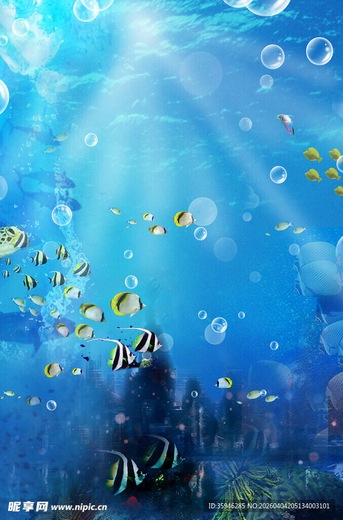 N海底世界的多彩鱼类景观