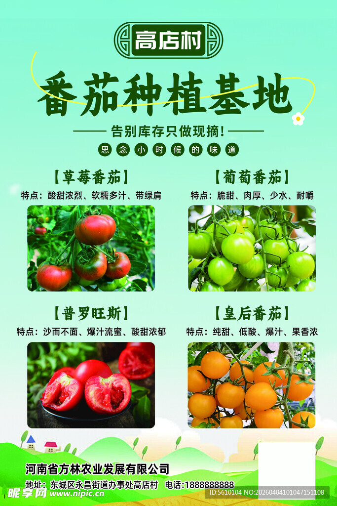 番茄种植基地海报