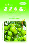 葡萄番茄种植基地海报