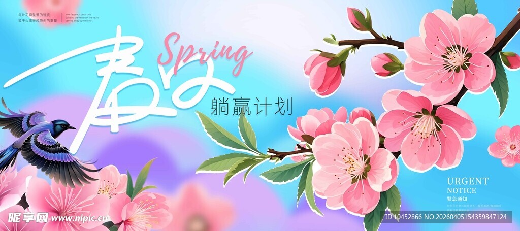 春日桃花绽放美景