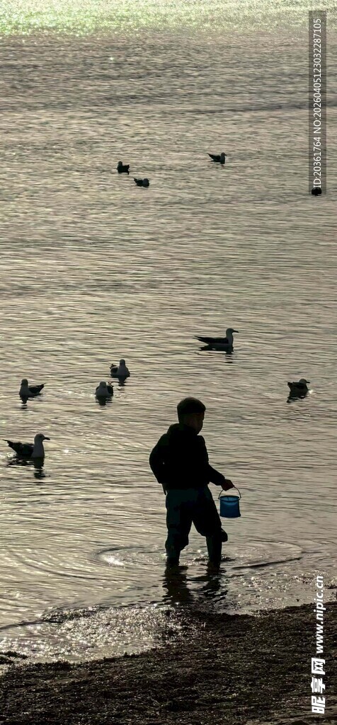 海边人伴群鸟漫步