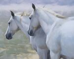 白马油画