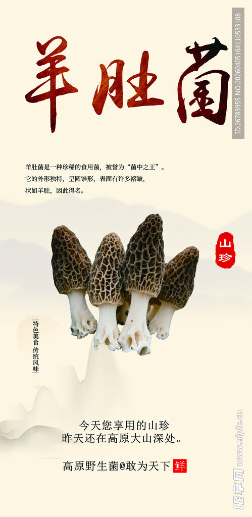 羊肚菌特写展示