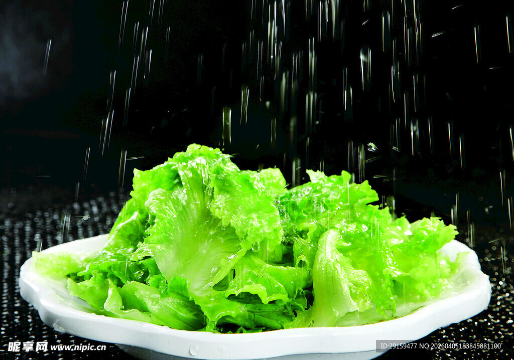 新鲜生菜被水喷洒