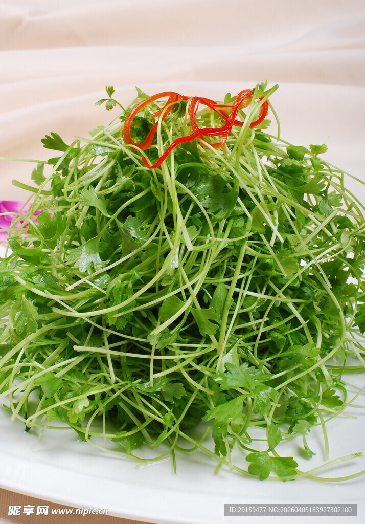 新鲜豆苗摆于盘中