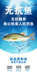 无抗鱼饲料助力安心养鱼