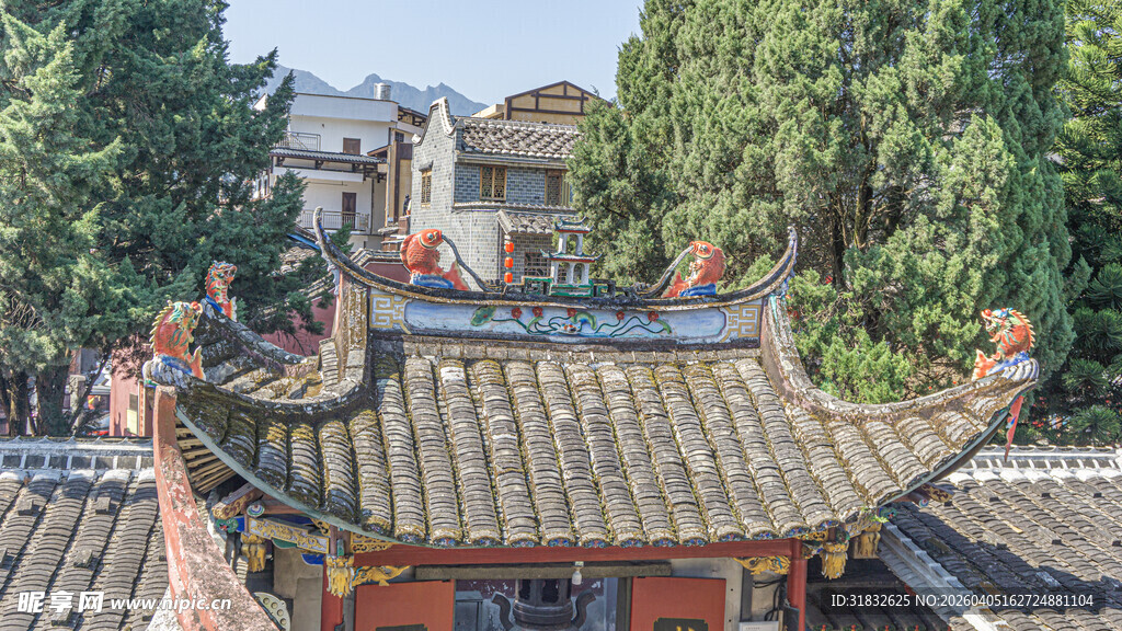 中式古建屋顶 绿树环绕