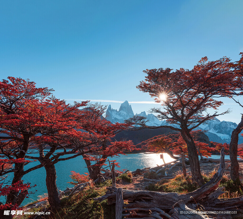 湖畔红树映雪山美景