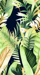 热带植物背景图案