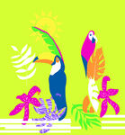 热带风情中的多彩巨嘴鸟