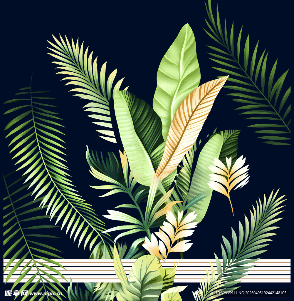 热带植物插画 自然清新风